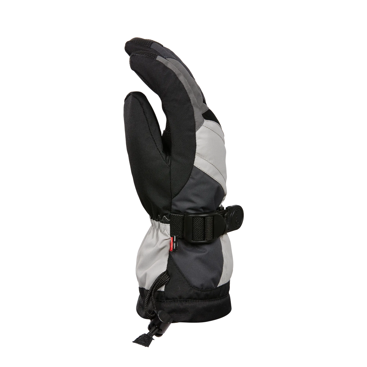 31819_3624_BLANK_Platinum_2