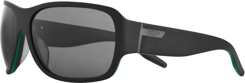 DSGPRVE21_BLANK_copy