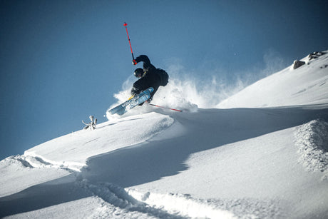 FISCHER ALPINA SKIDOR