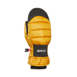 54792_1811_BLANK_Golden_BLANK_Yellow